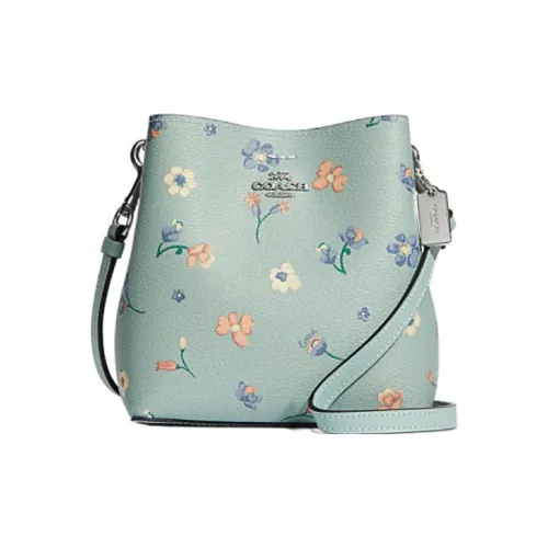 COACH Town Artificial Leather Bucket Bags One Shoulder Handbag Crossbody Bag Mini Women's Lake Green Color