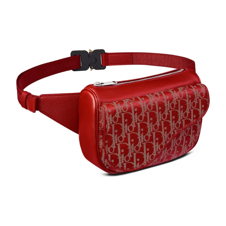 DIOR Saddle Fanny Packs-1