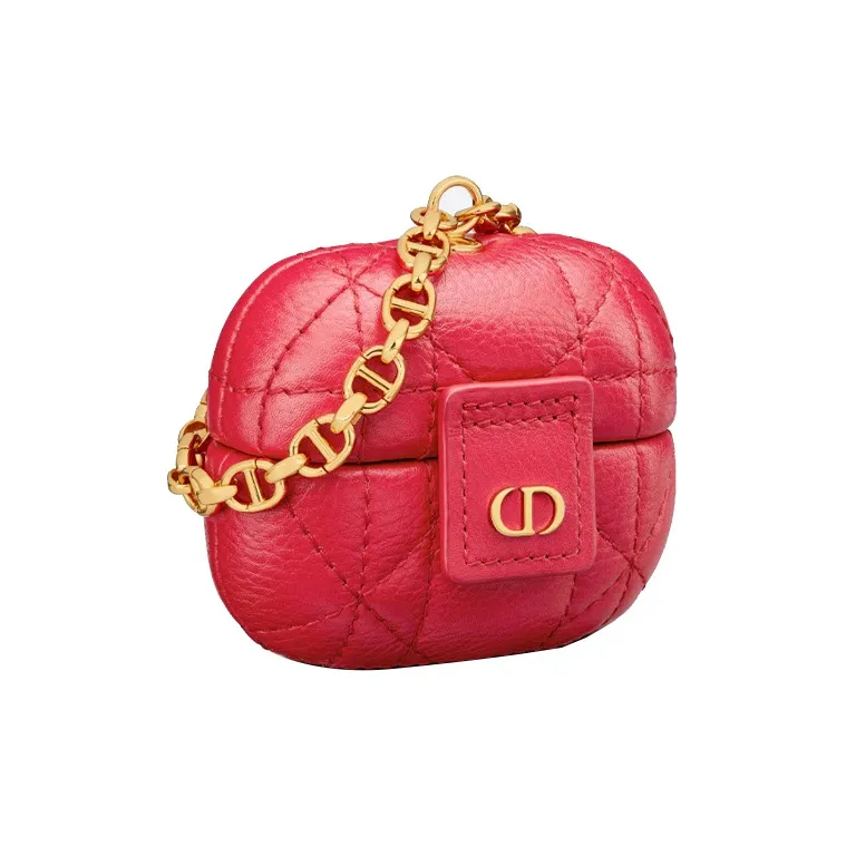 DIOR Caro Earphone Cases-1