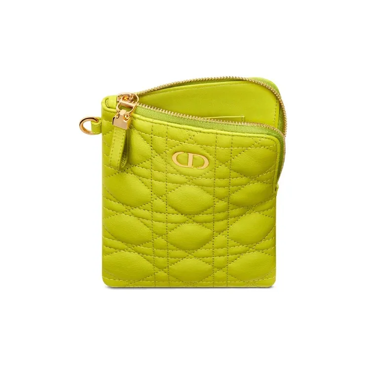 DIOR Caro Series Clutches-4