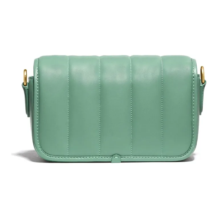 COACH Dinky Lambskin Leather Shoulder Bag, Crossbody Bag Small Size Women's Macaron Green-2