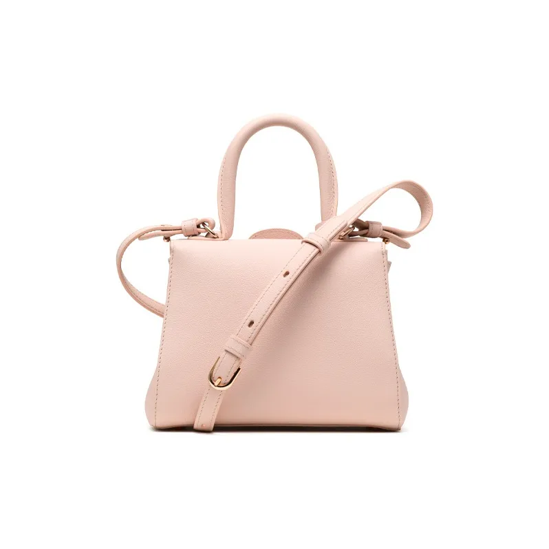 Delvau Brillant Grain Calfskin Handbag Mini Women's Nude Pink-2