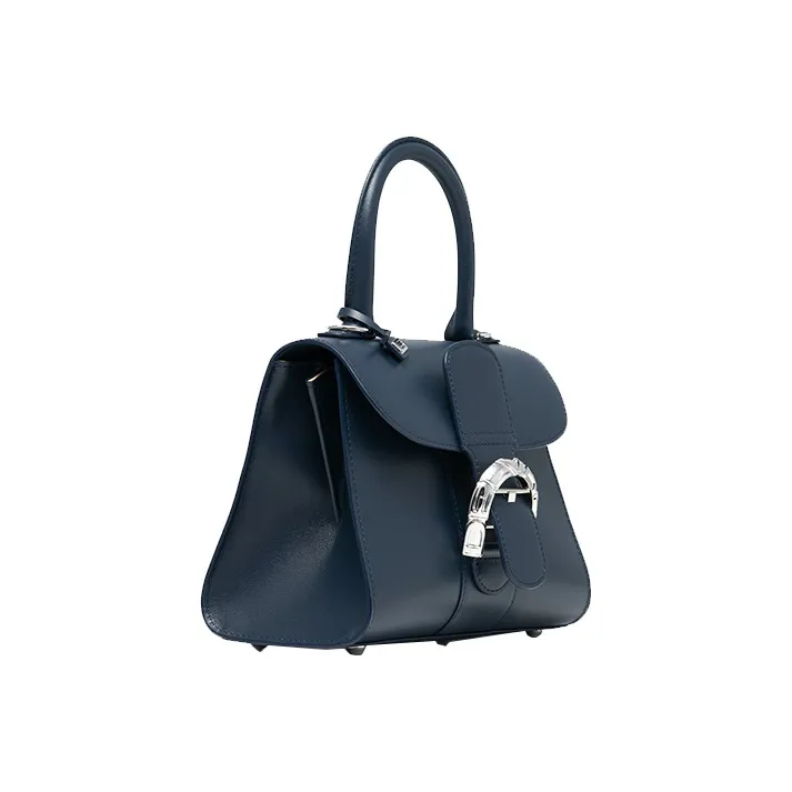 Delvaux Brillant Handbags-1