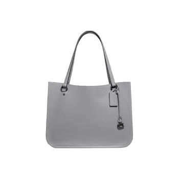 COACH Tyler Leather Handbag, Crossbody Bag, Shoulder Bag Women's Gray