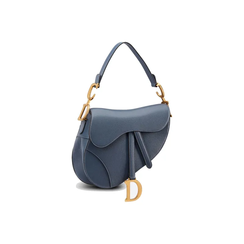 DIOR Saddle Handbags-1