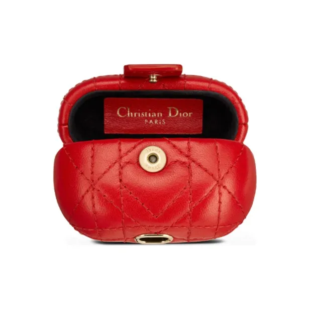 DIOR Earphone Cases-2