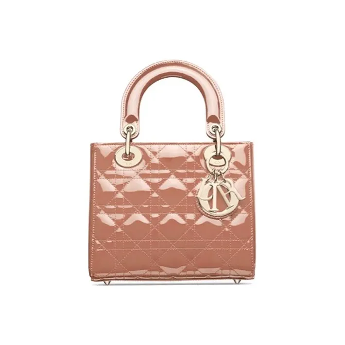 DIOR Lady DIOR Clutches-0