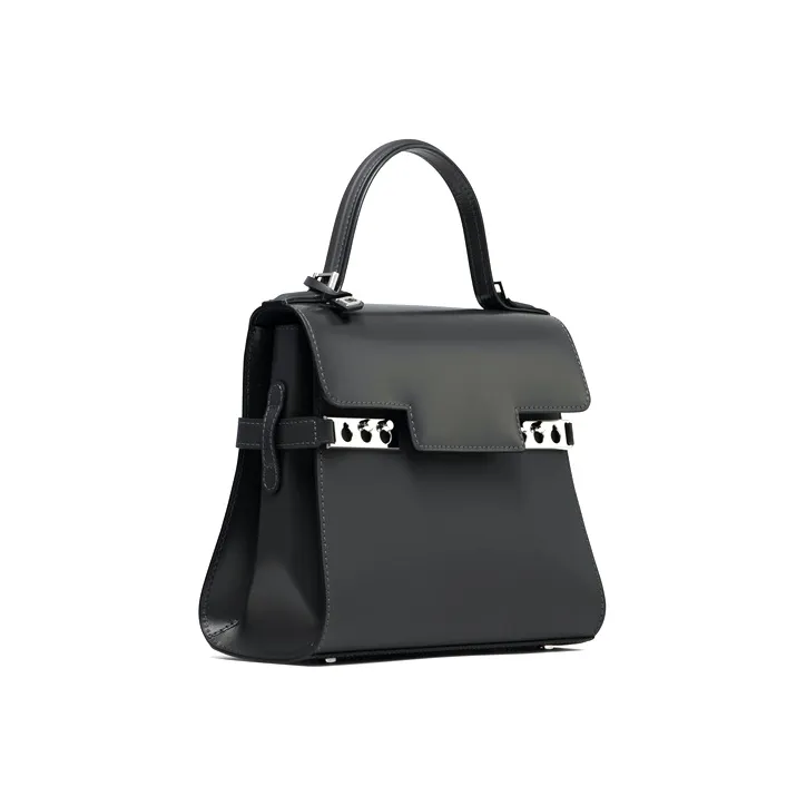 Delvaux Tempête Handbags-1