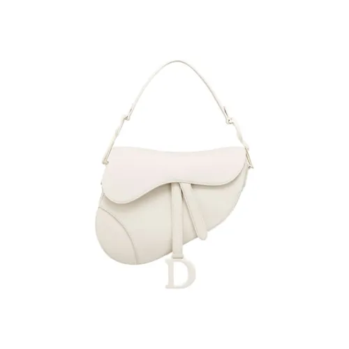 DIOR Saddle Shoulder Bags