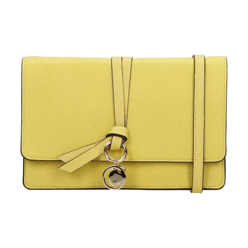 Chloé Bags Clutches