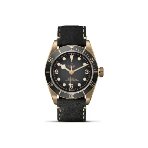 TUDOR Men BLACK BAY Collection Swiss Watch