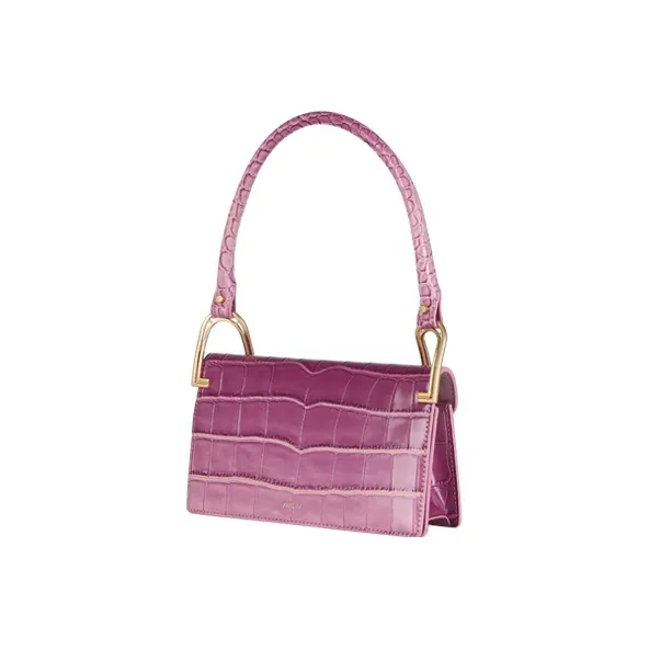 Céline Frame Bag