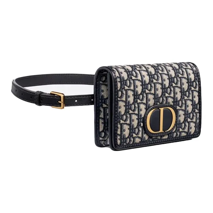 DIOR 30 Montaigne Fanny Packs-1