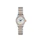 White Dial