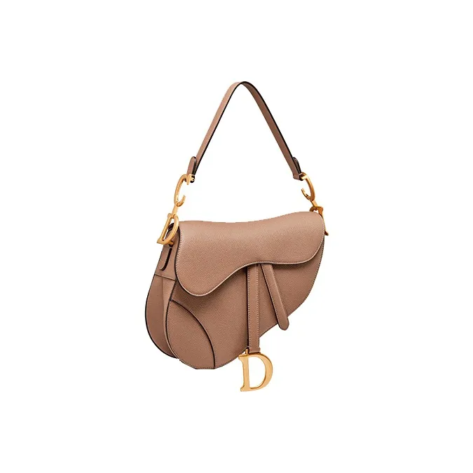 DIOR Saddle Handbags-1