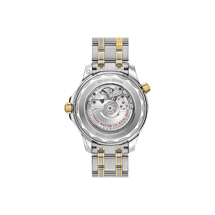 OMEGA Men Seahorse Series 300m Diving Watch Watch-3