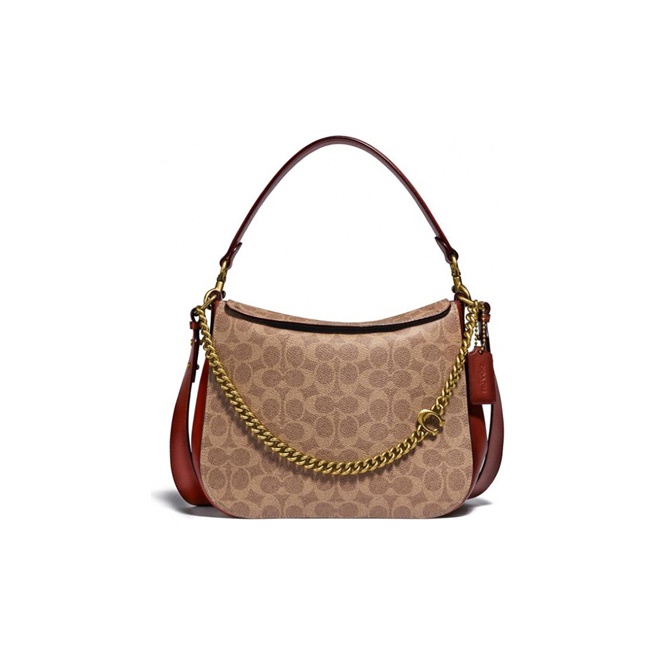 Coach Hobo Bag Signature - POIZON