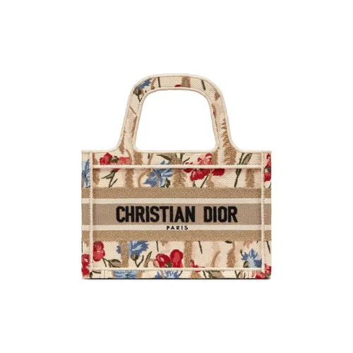 DIOR BookTote Handbags