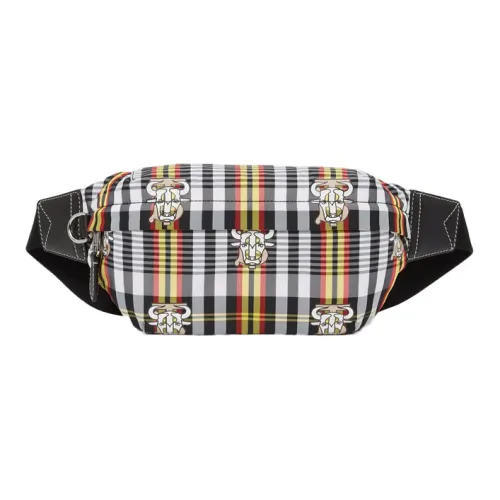 Burberry Male  Fanny pack