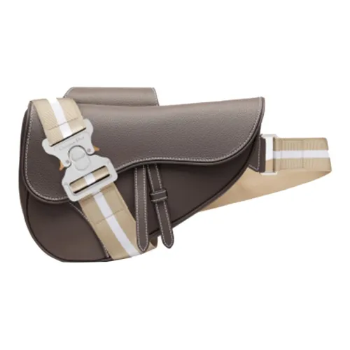 DIOR Saddle Sling Bags