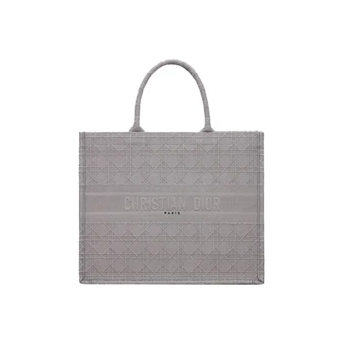 DIOR BookTote Handbags