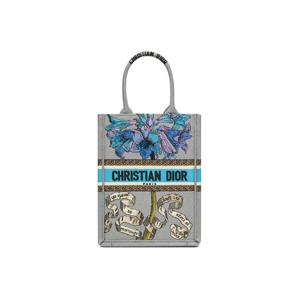 DIOR BookTote Handbags-0