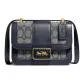 Bag+Dust Bag