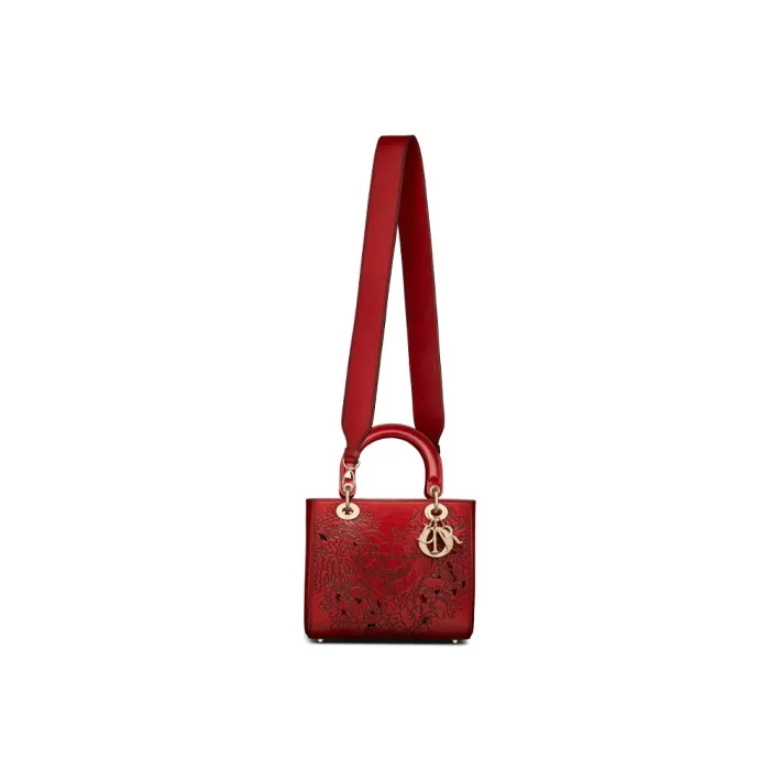 DIOR Lady DIOR Handbags-2