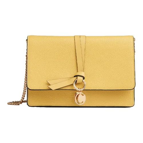 Chloé Bags Shoulder Bags