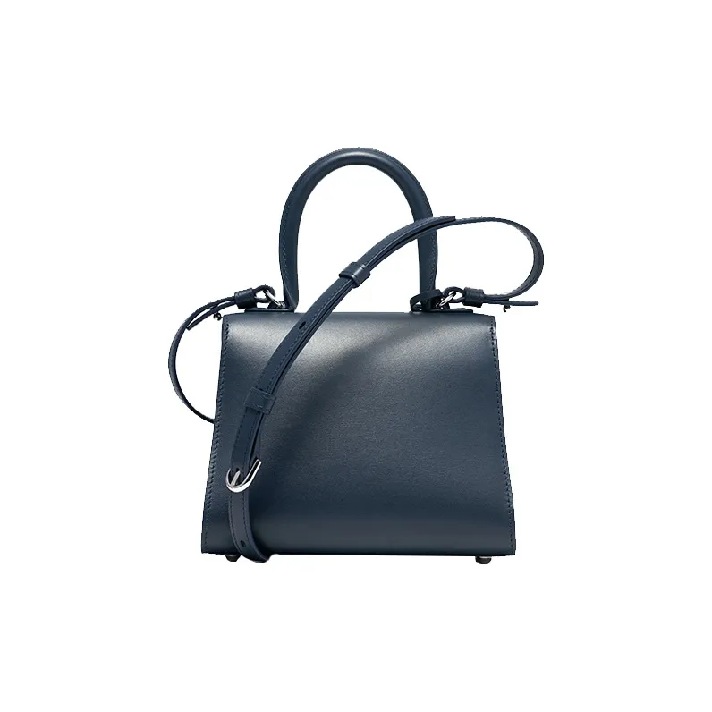 Delvaux Brillant Handbags-2