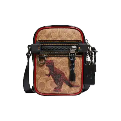 COACH Dylan Crossbody Bags