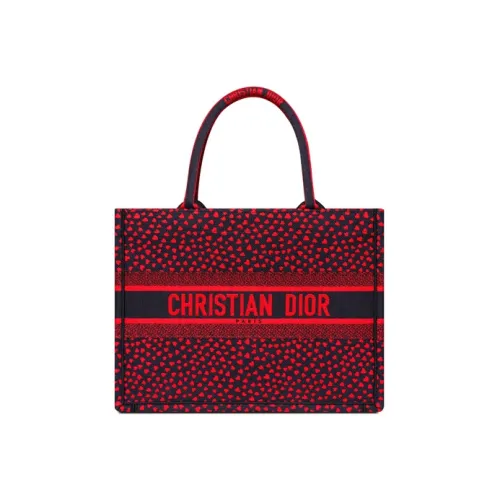 DIOR BookTote Handbags