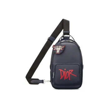DIOR Shawn Collaboration Cow Leather Shoulder Bag Crossbody Bag Regular Men's Navy