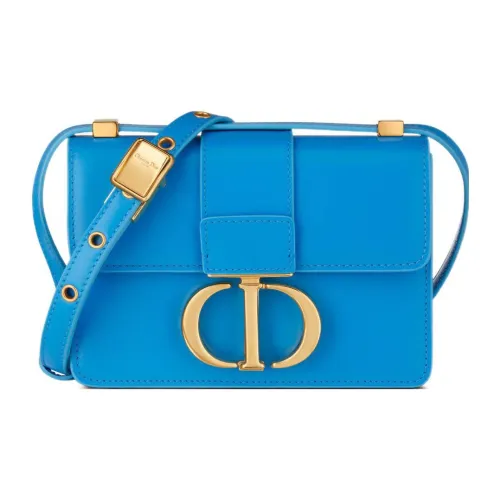 DIOR Montaigne Collection Crossbody Bags