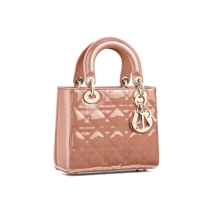 DIOR Lady DIOR Clutches-1