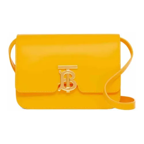 Burberry Calfskin Shoulder Bag Crossbody Bag Small Size Women's Yellow