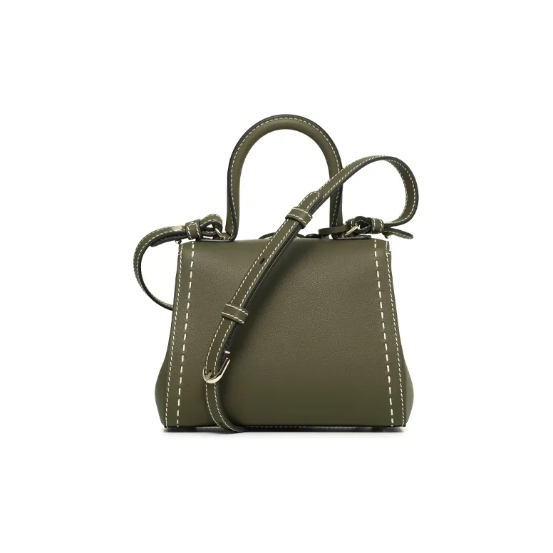 Delvaux Brillant Handbags-2