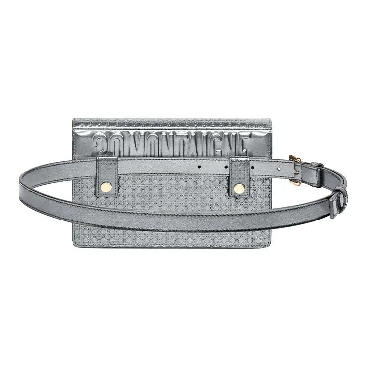 DIOR Fanny Packs-2
