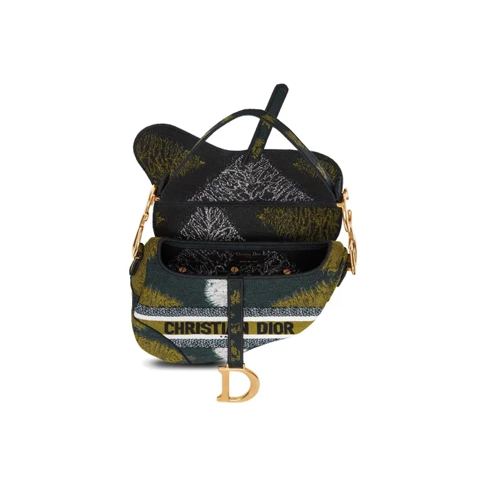 DIOR Saddle Handbags-3