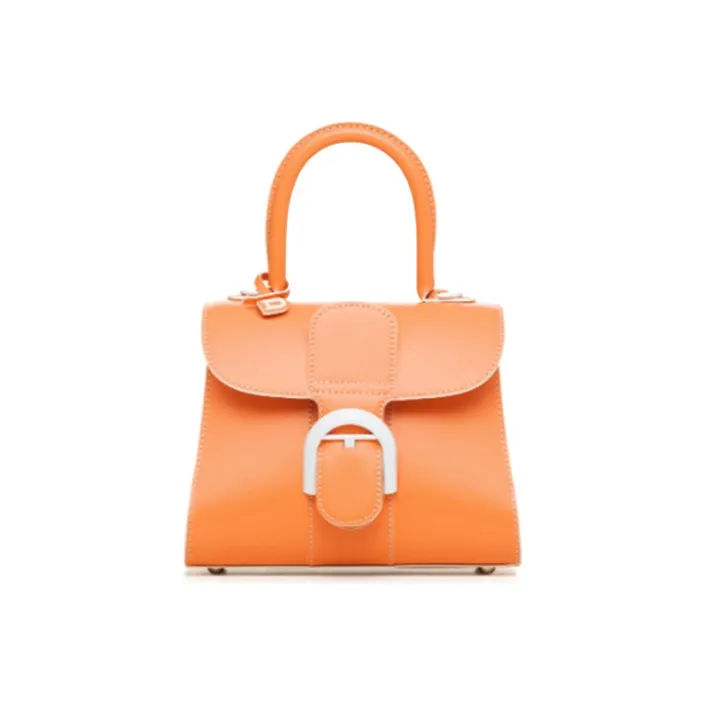 Delvaux Brillant Handbags-0