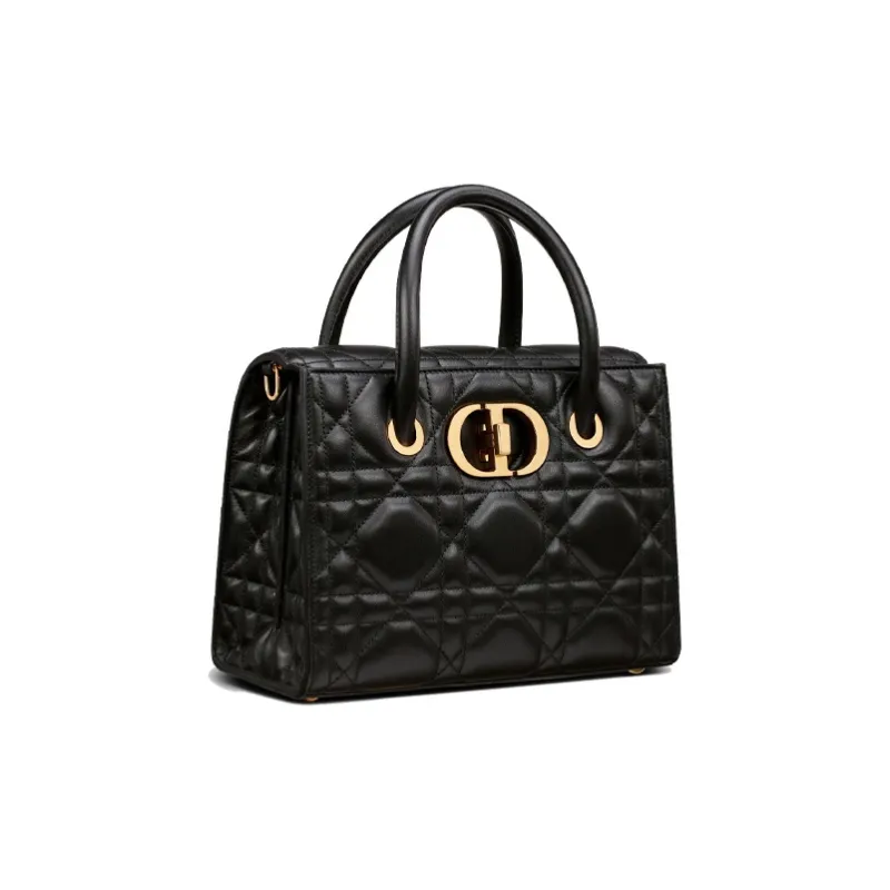 DIOR 30 Montaigne Handbags-1