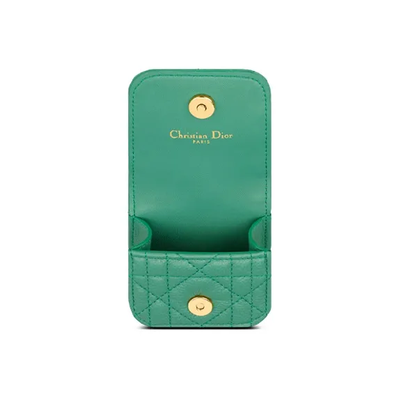 DIOR Earphone Cases-3