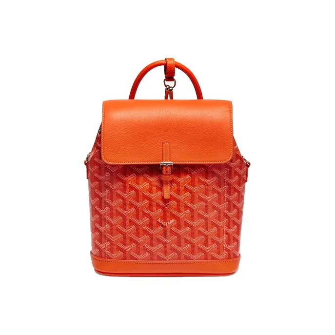 GOYARD Alpin Backpacks-0
