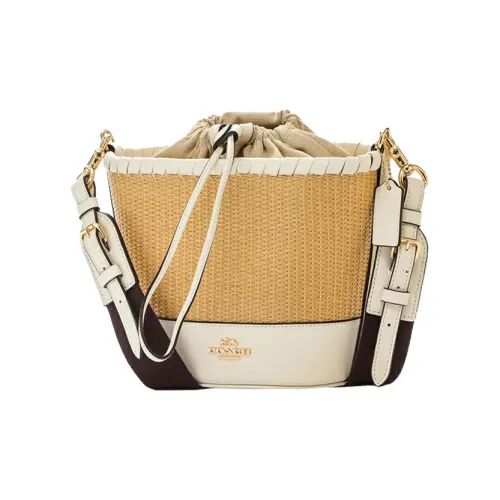 COACH Straw Crossbody Bags