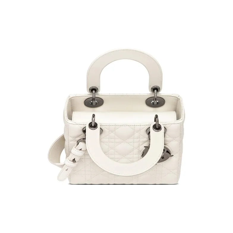DIOR Lady DIOR Clutches-2