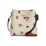Bag+Dust Bag