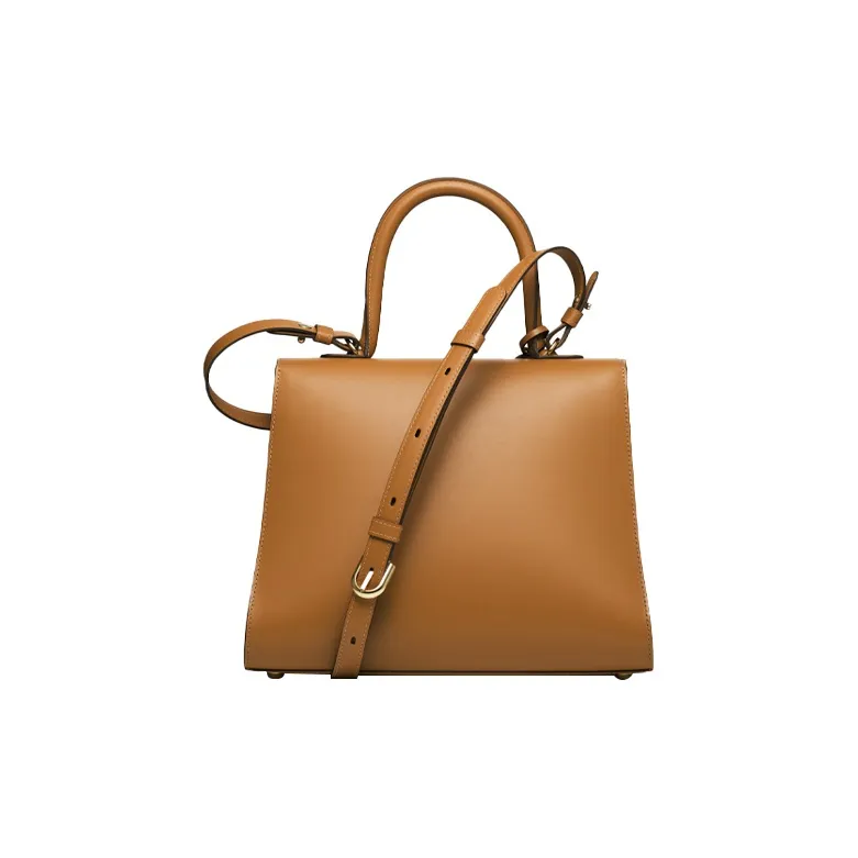 Delvau Brillant Cow Leather Handbag Medium Size Women's Brown-2