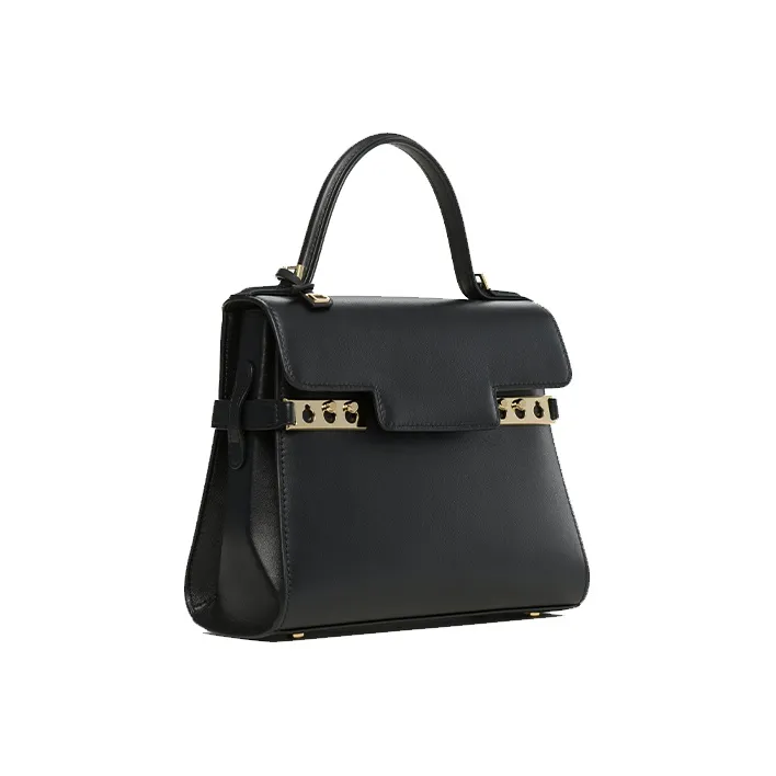 Delvau Tempête Soft Calfskin Handbag Small Size Women's Black-1