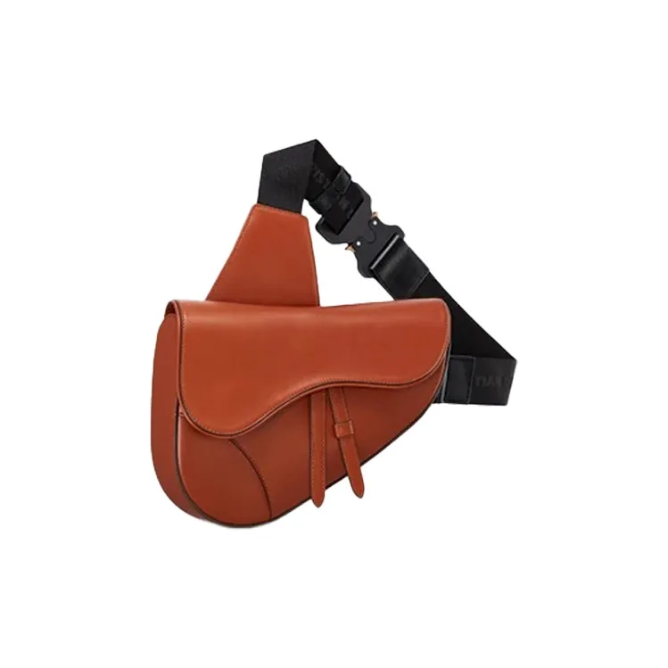 DIOR Saddle Crossbody Bags-2