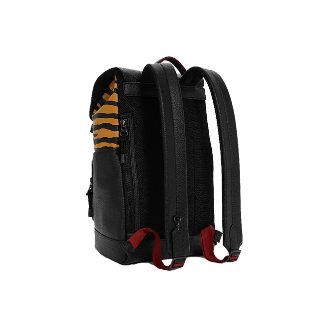 COACH Track Tiger Stripe Leather Backpack Large Size Men's Yellow/Black-1